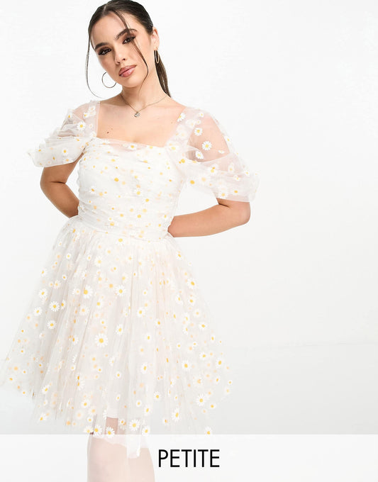Lace & Beads Petite exclusive ruched tulle mini dress in white daisy