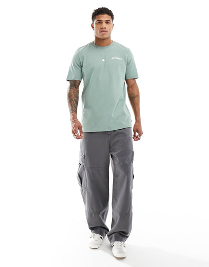 adidas Terrex graphic backprint t-shirt in sage green