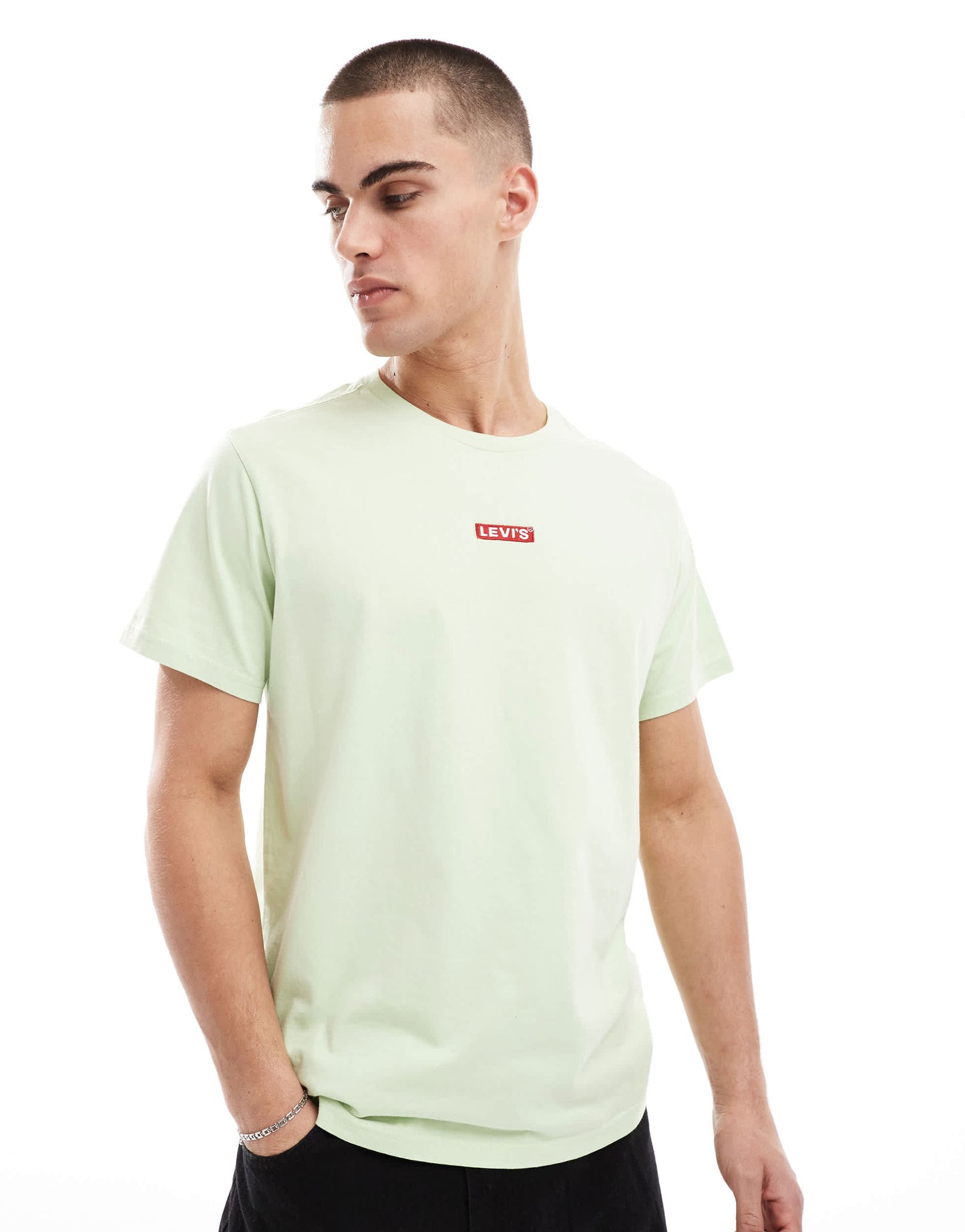 Levi's central babytab patch logo relaxed fit t-shirt in light green