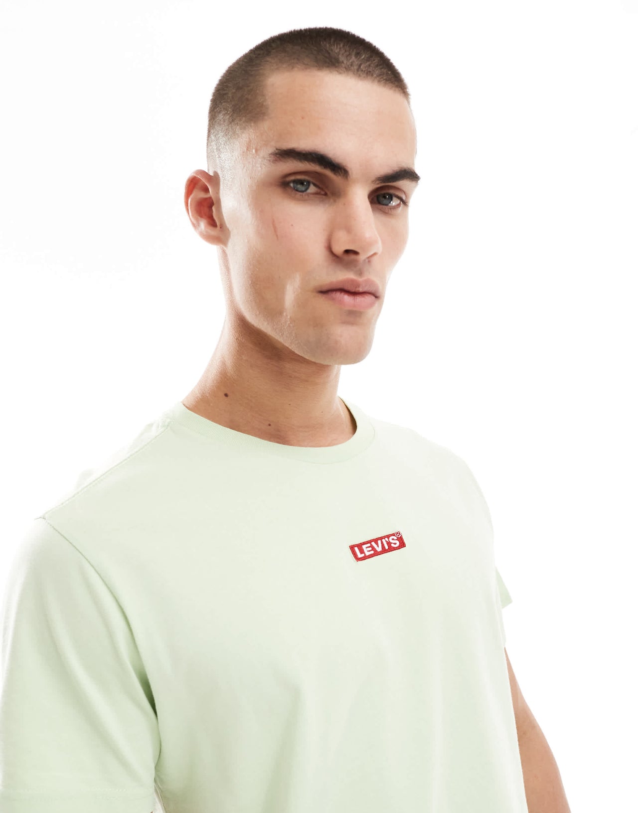 Levi's central babytab patch logo relaxed fit t-shirt in light green