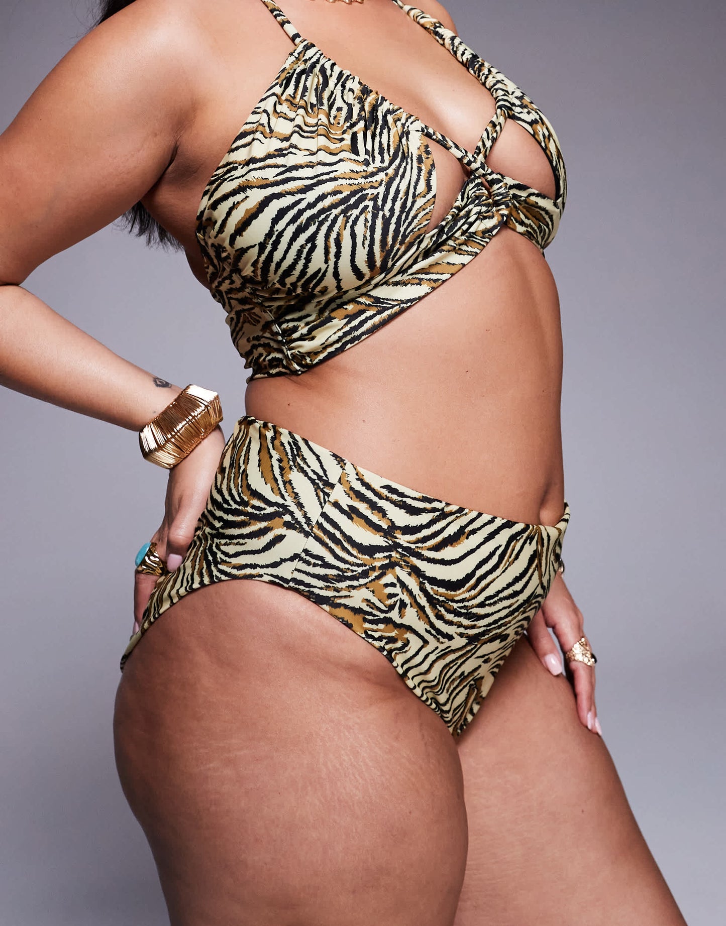 ASOS DESIGN Curve Gia high leg high waist bikini bottom in animal print