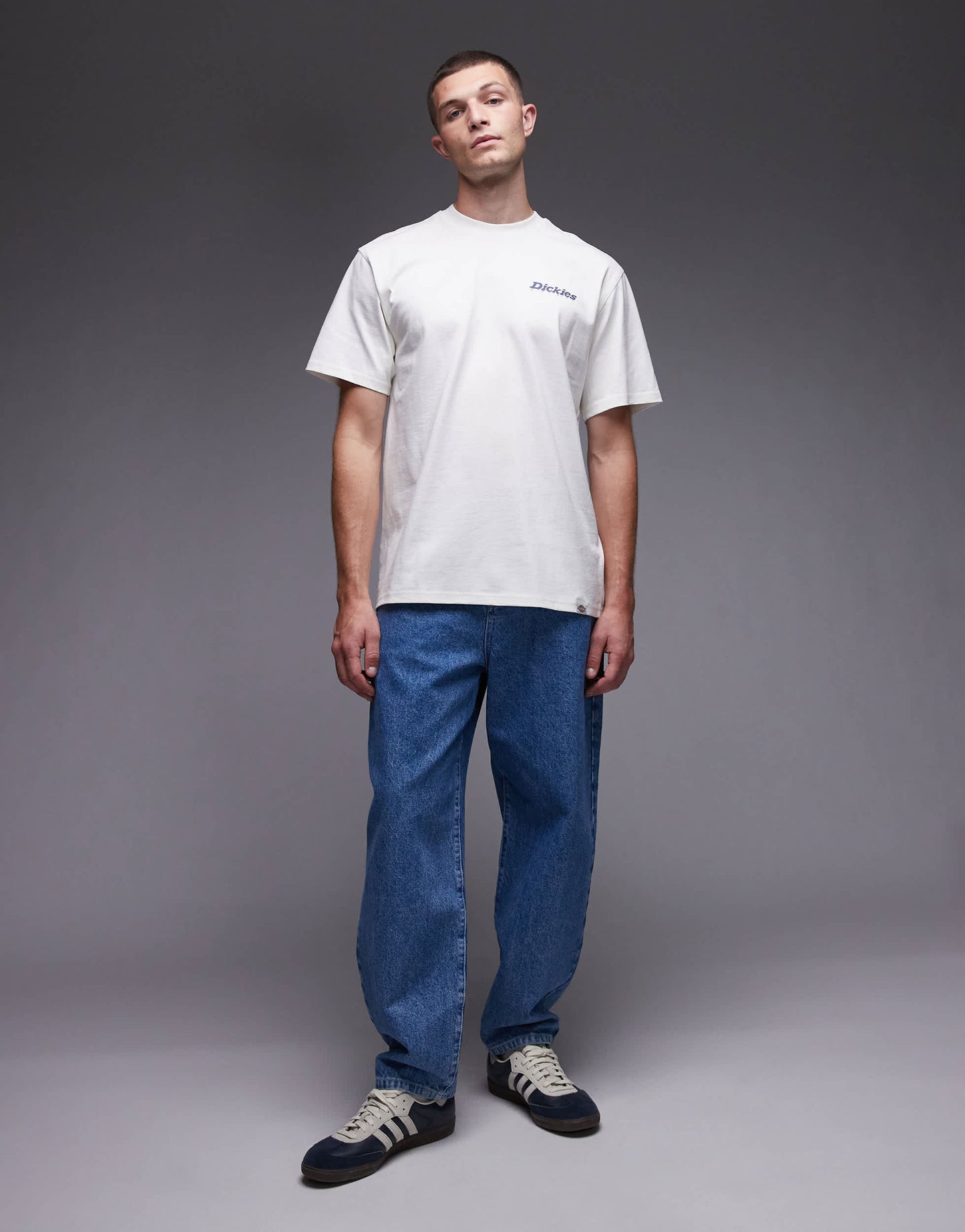 Dickies statesville graphic horseshoe backprint t-shirt in off white