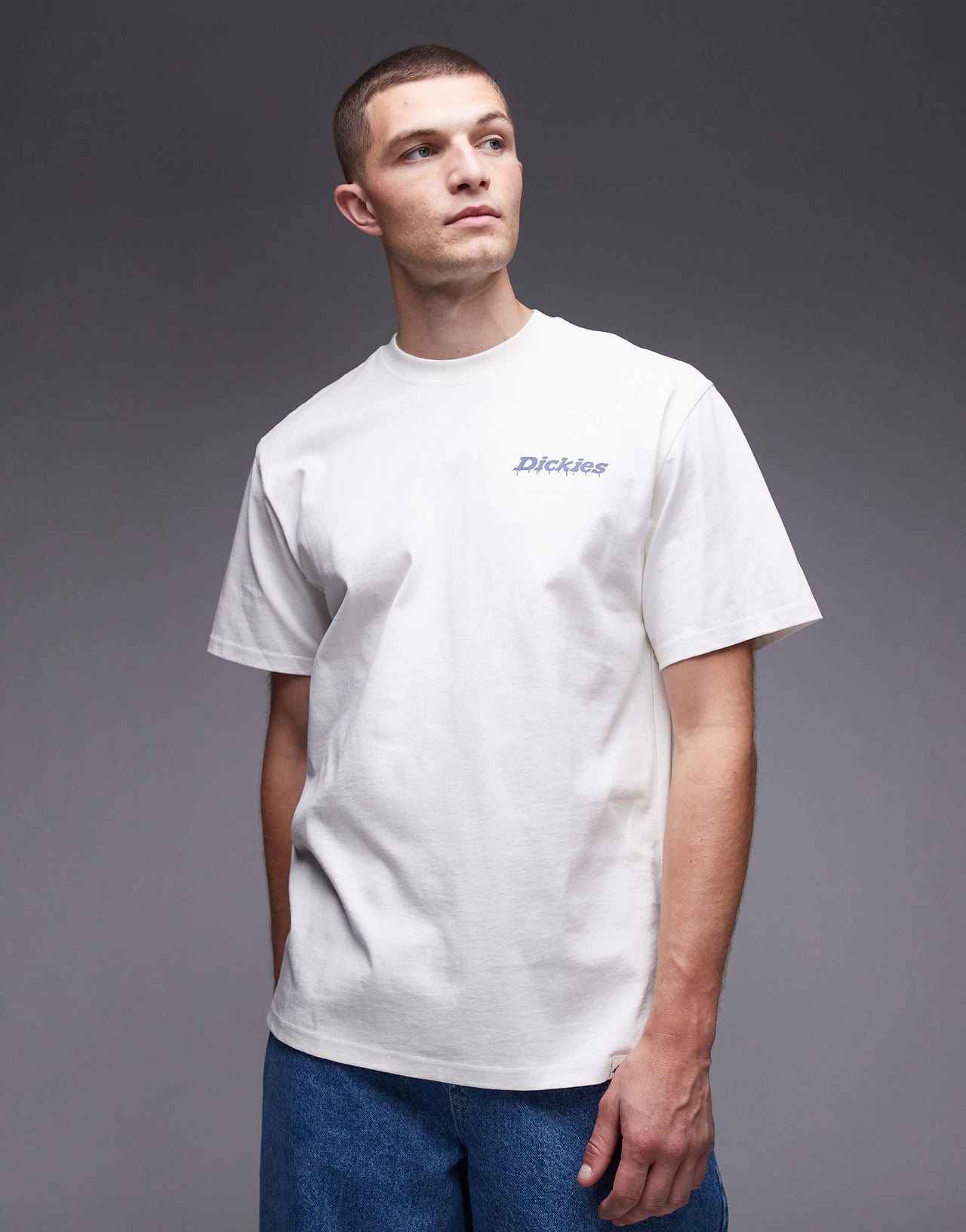Dickies statesville graphic horseshoe backprint t-shirt in off white