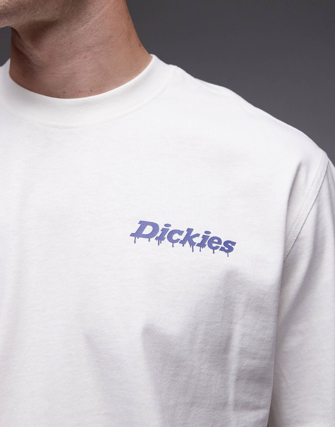 Dickies statesville graphic horseshoe backprint t-shirt in off white