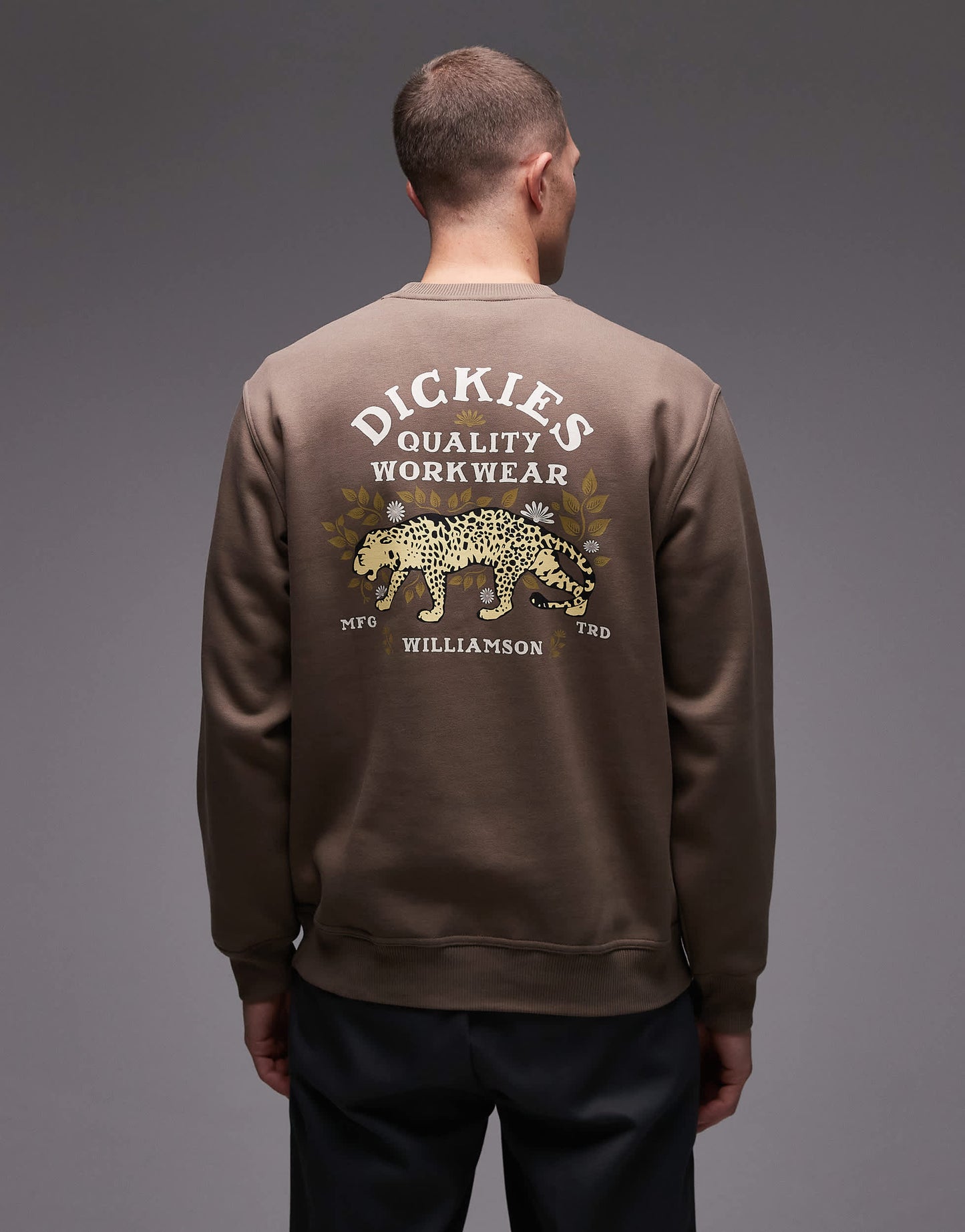 Dickies fort lewis graphic backprint sweatshirt in brown