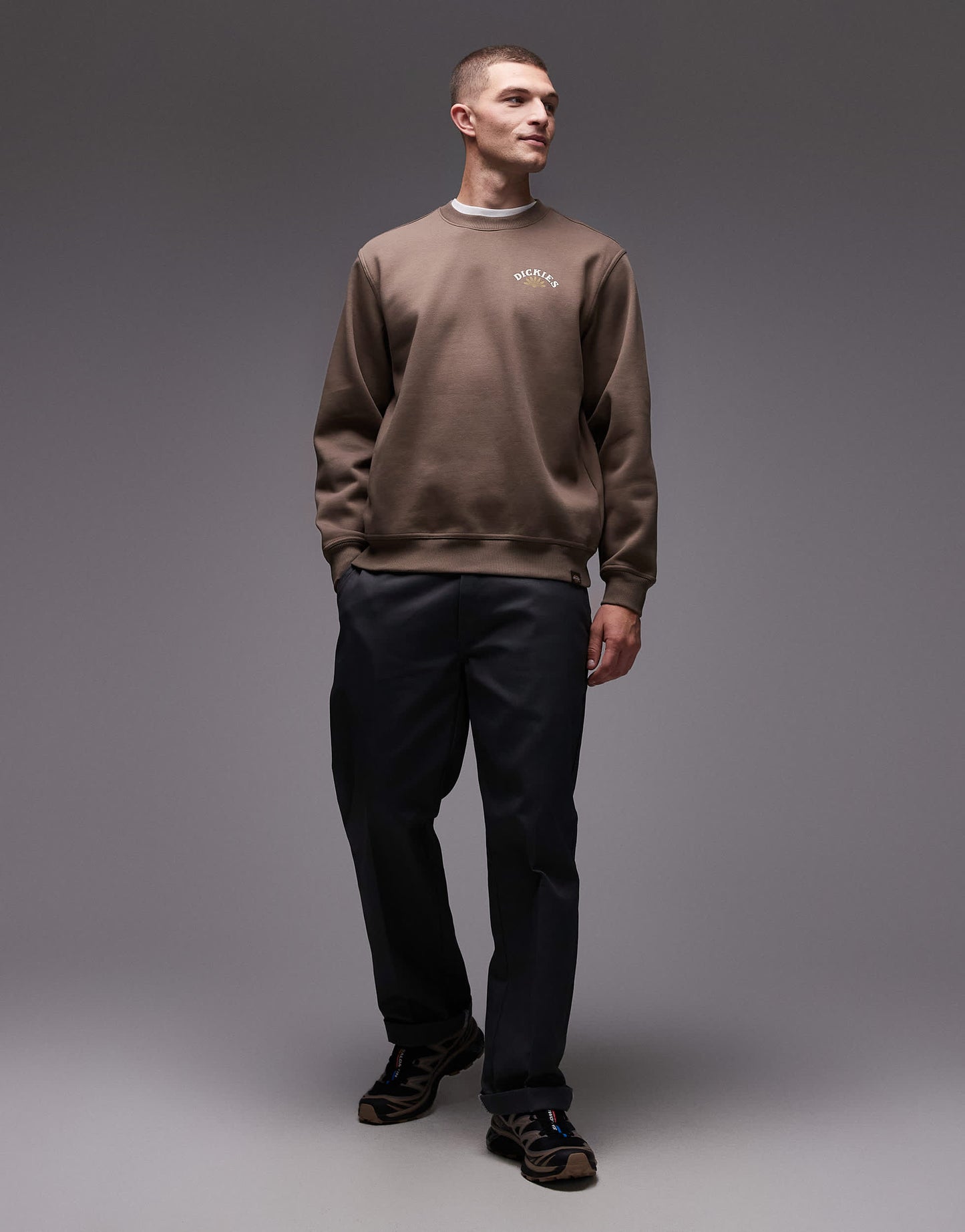 Dickies fort lewis graphic backprint sweatshirt in brown