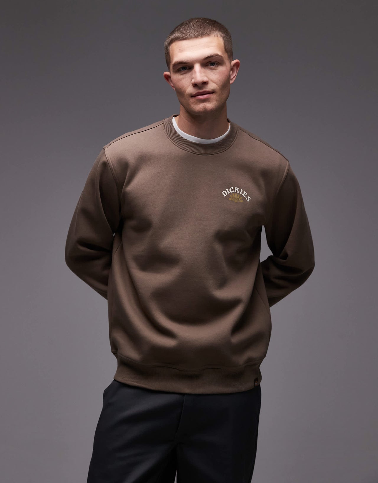 Dickies fort lewis graphic backprint sweatshirt in brown