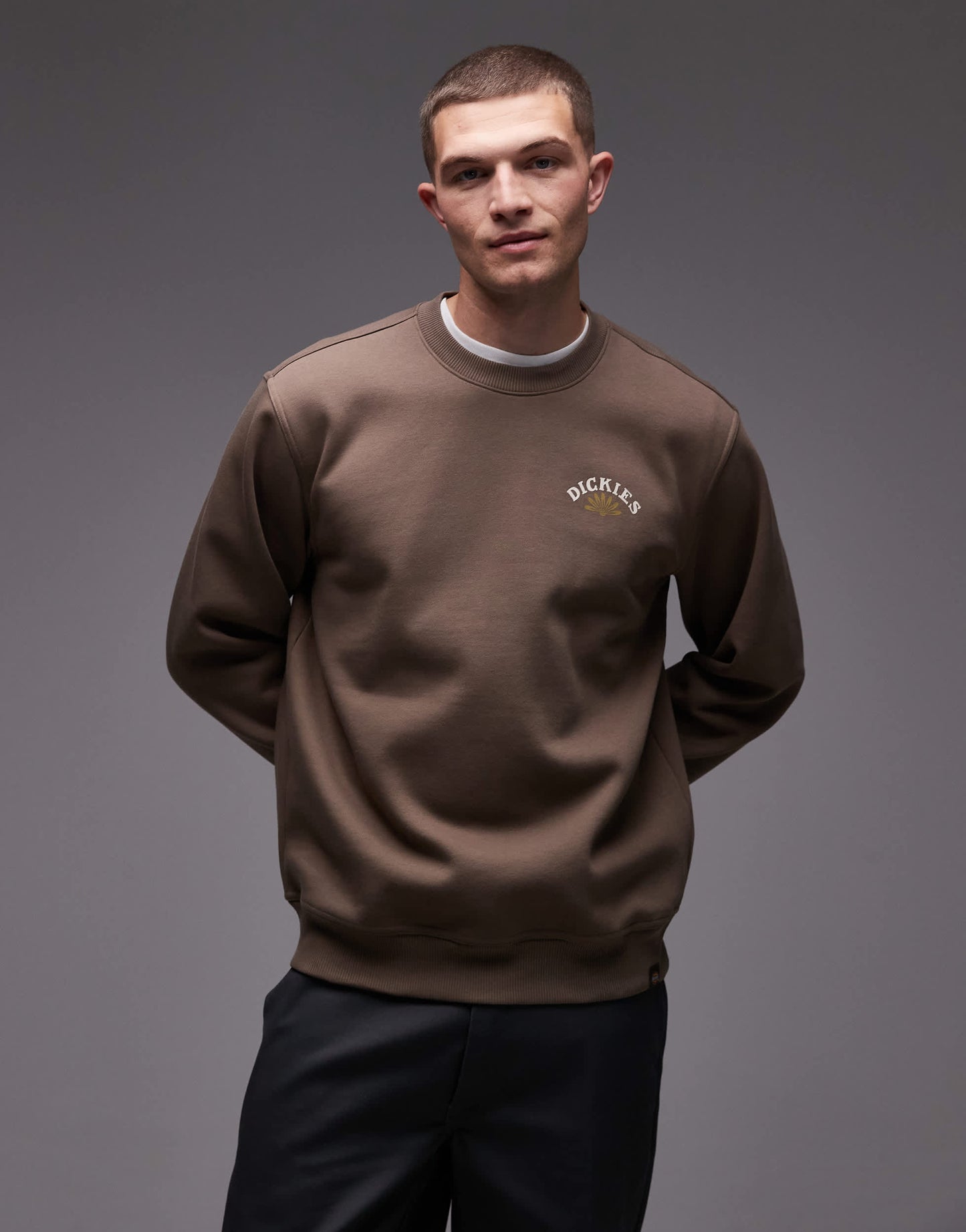 Dickies fort lewis graphic backprint sweatshirt in brown
