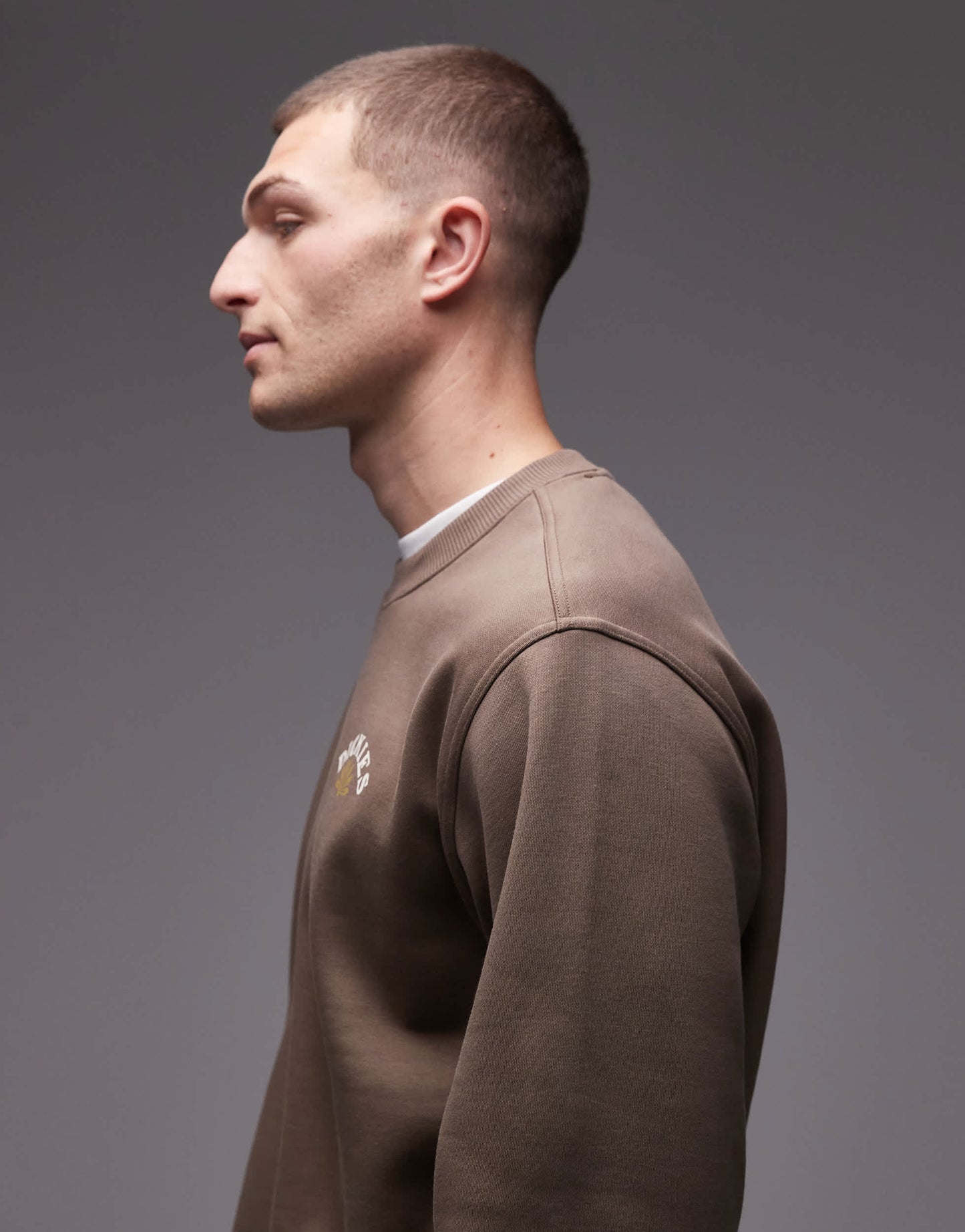 Dickies fort lewis graphic backprint sweatshirt in brown