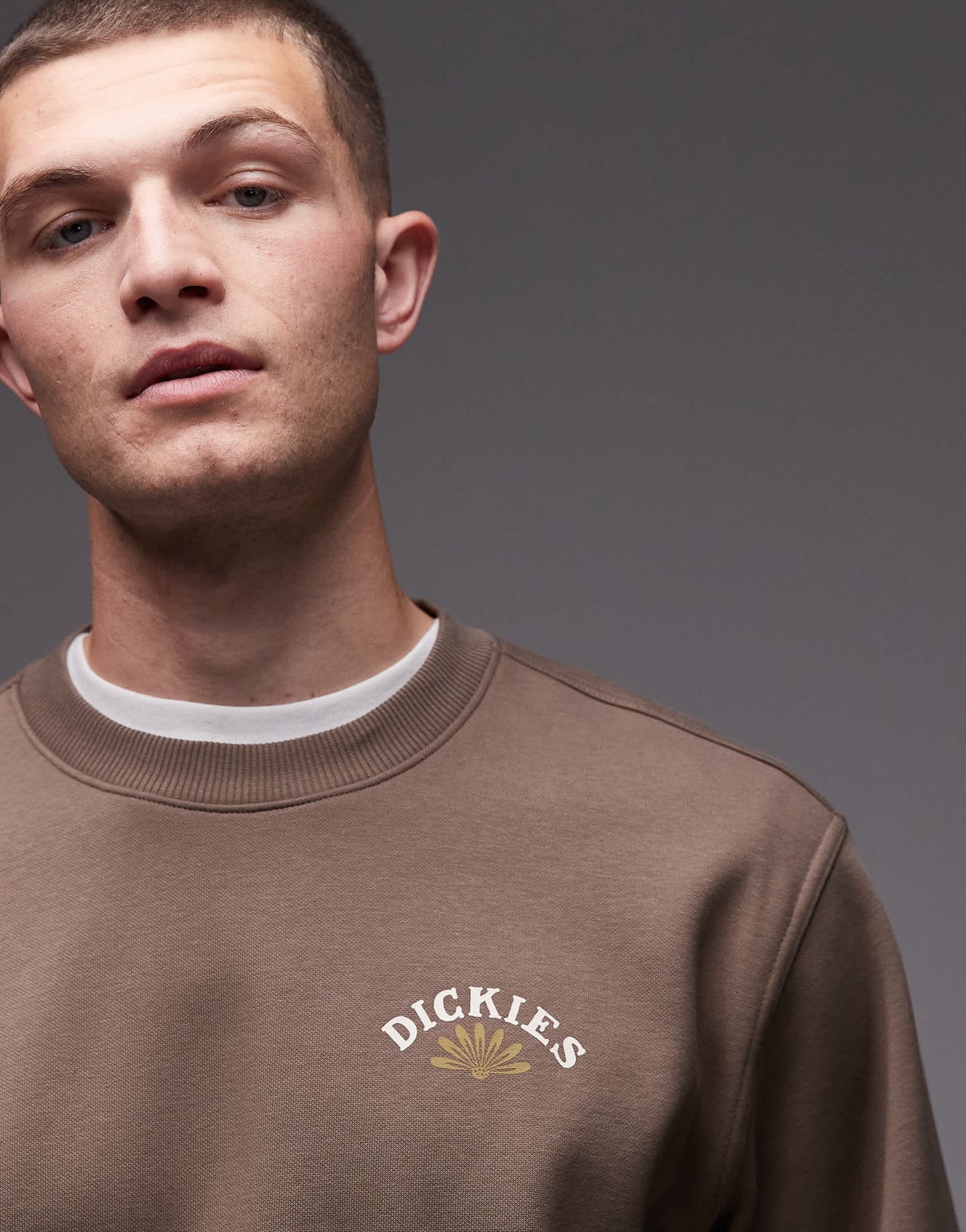 Dickies fort lewis graphic backprint sweatshirt in brown