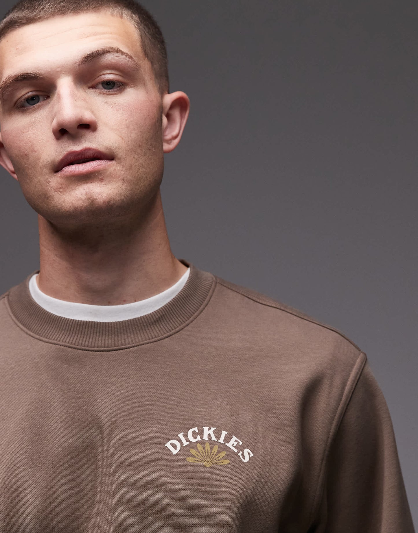 Dickies fort lewis graphic backprint sweatshirt in brown