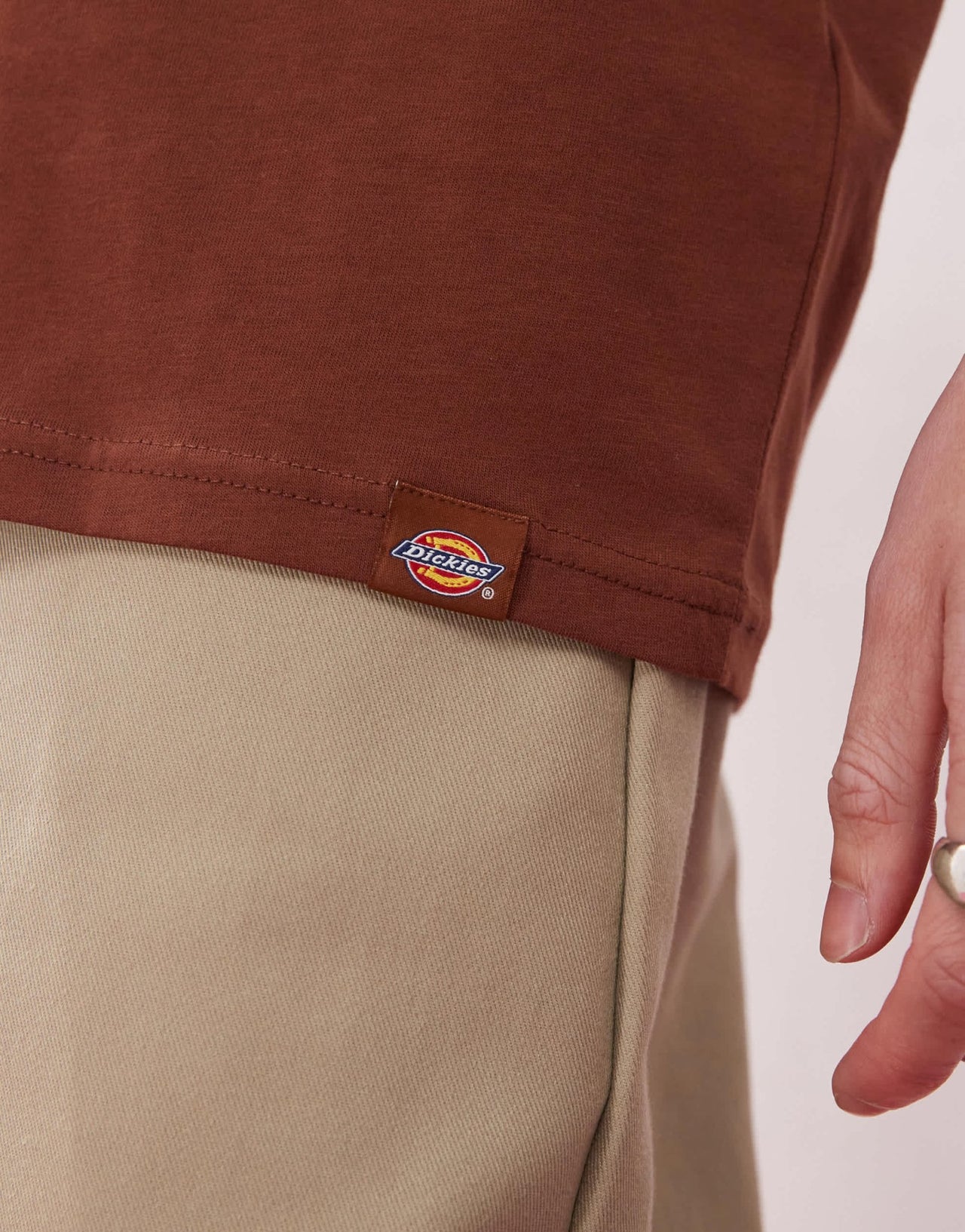 Dickies panther graphic back print t-shirt in cappuccino brown- exclusive to ASOS - ASOS Sample Sale