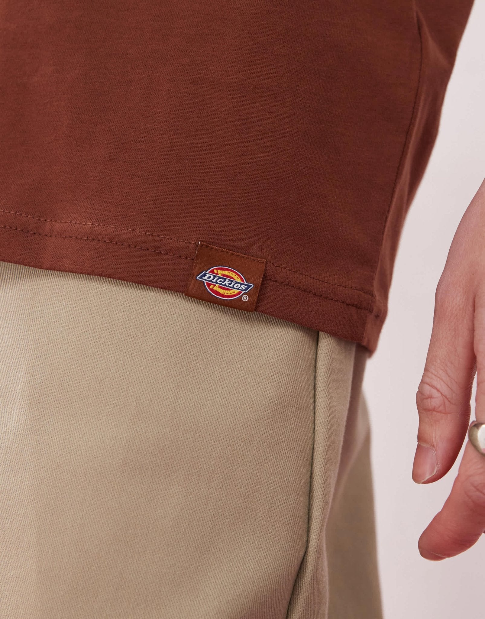 Dickies panther graphic back print t-shirt in cappuccino brown- exclusive to ASOS - ASOS Sample Sale