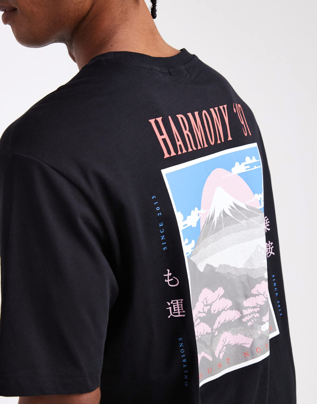 ONLY & SONS relaxed fit t-shirt with harmony 97 back print in black - ASOS Sample Sale