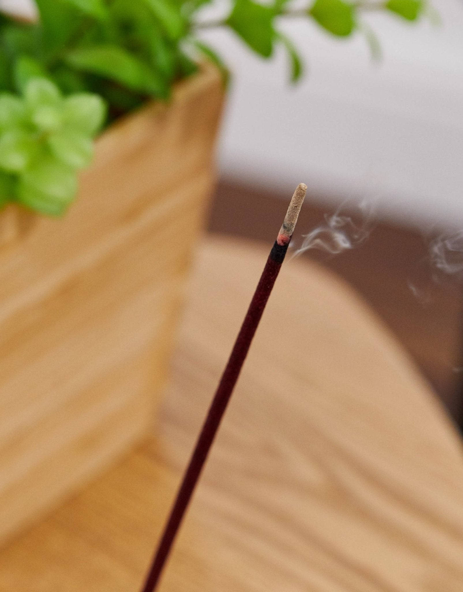 Psychic Sisters love incense sticks - set of 14 - ASOS Sample Sale